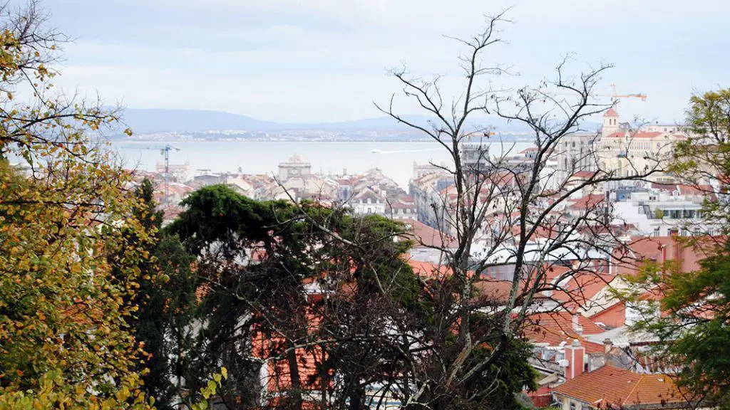 Árboles en el mirador de Santa Ana de Lisboa