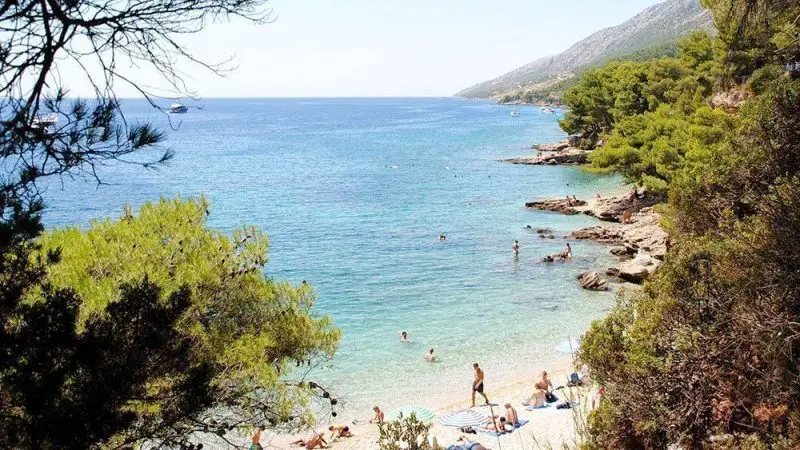 La playa Zlatni Rat, la más espectacular de Croacia 4 Esto lo que se ve desde la pinada