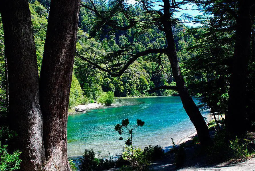 Verano en Bariloche