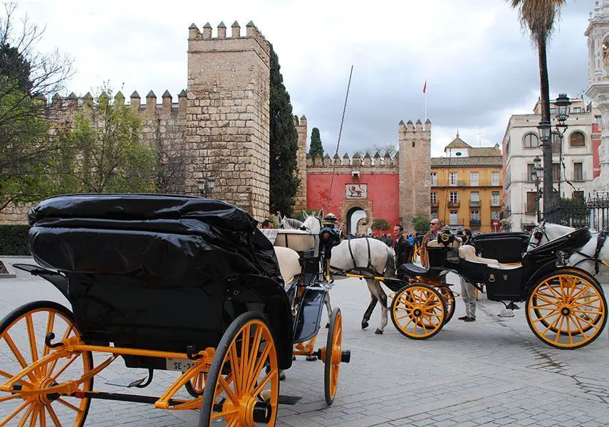 Coches de caballos en Sevilla