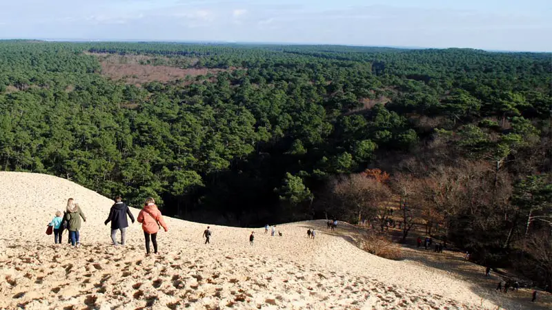 Cómo ir a la Dune du Pilat desde Burdeos 2 Subida a la duna de Pilat