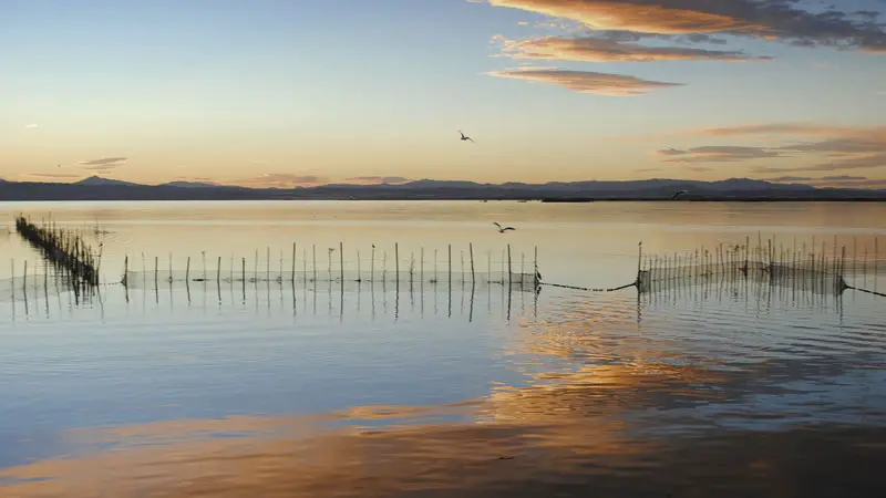 Lugares que ver en Valencia imprescindibles 8 Atardecer en la Albufera