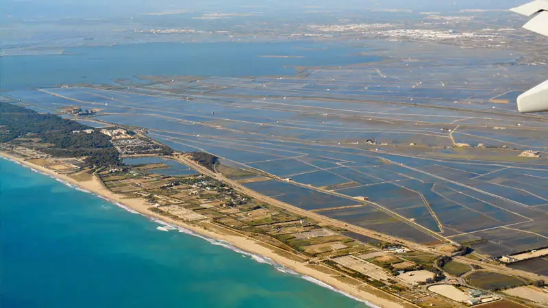 Cómo ir a la Albufera de Valencia 3 Imagen aérea de la Devesa de El Saler
