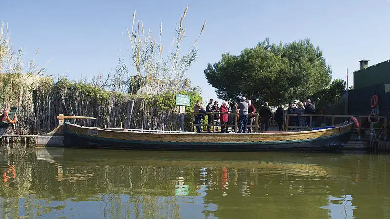 Cómo ir a la Albufera de Valencia 5 Visitantes en la Albufera