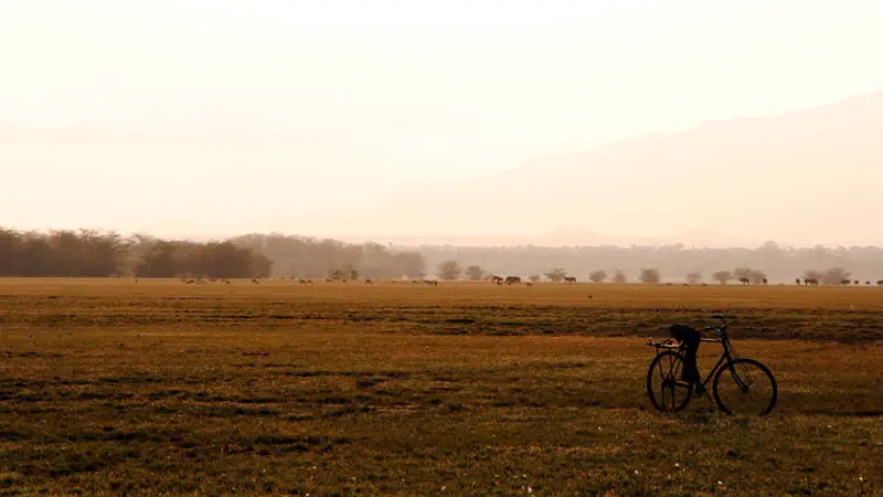 Lugares que ver en Tanzania imprescindibles 4 Alrededores del Lago Manyara en Tanzania