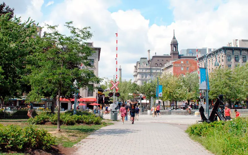 Qué ver en Montreal para un viaje perfecto 5