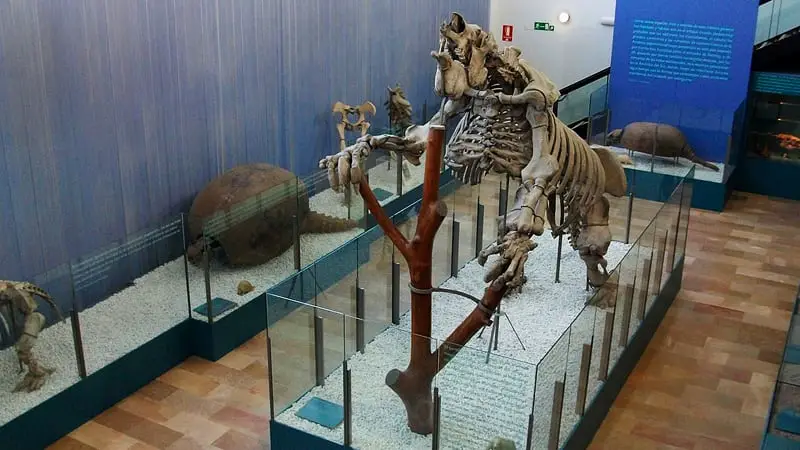 Interior del Museo de Ciencias Naturales de Valencia