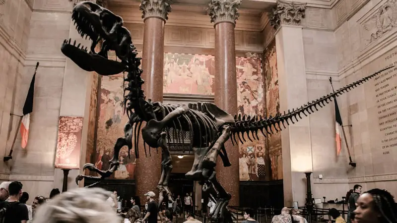 Museos de Nueva York más importantes 5 Interior del Museo de Historia Natural de Nueva York